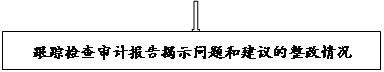 流程图: 过程: 跟踪检查审计报告揭示问题和建议的整改情况
      