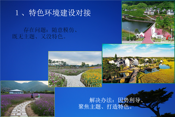 包含乡村振兴项目设计思路与创新点怎么写的词条