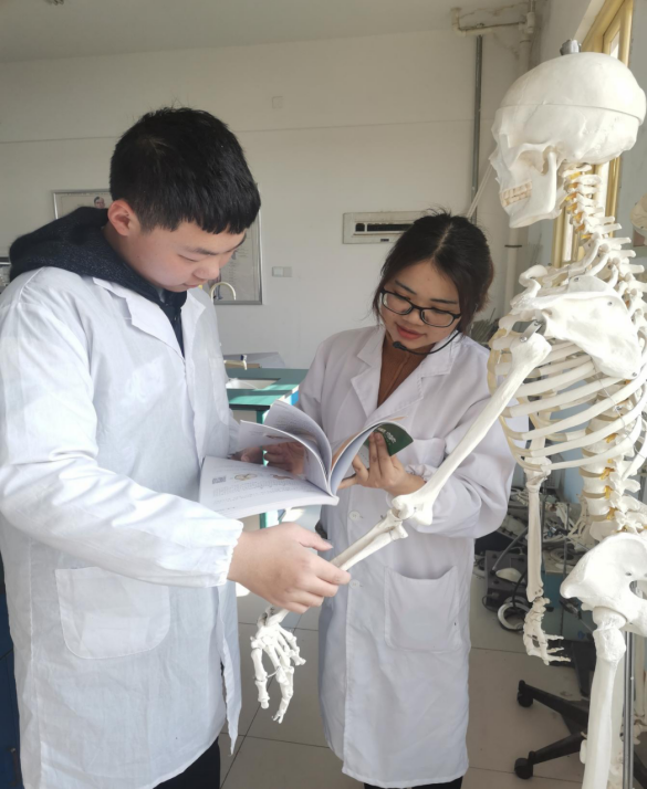 人体解剖生理学实验教学